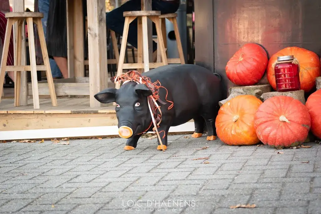 Pata negra by Kristien_Schilde_slider_image_3