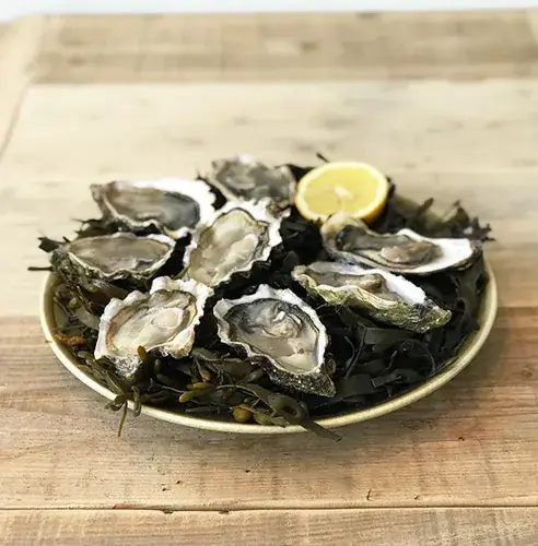 The lobsterman_Schilde_slider_image_3