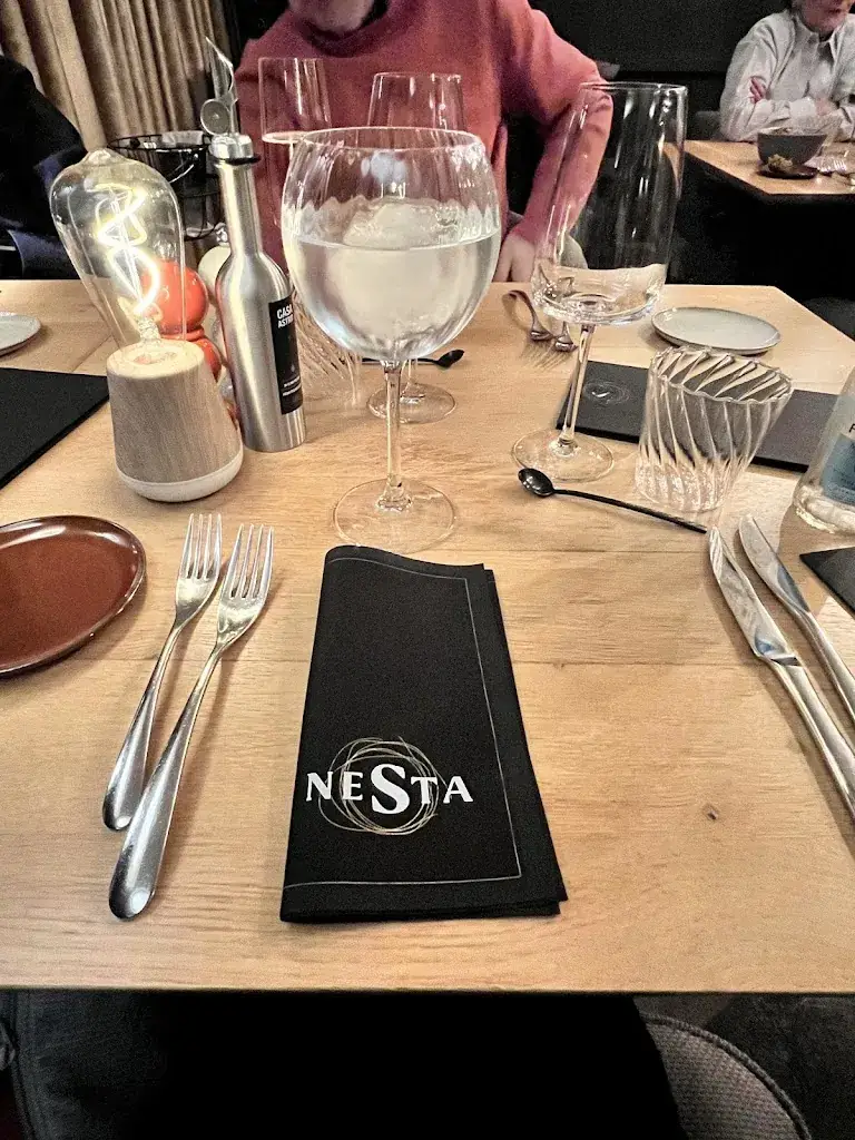 Fara Alias_NESTA_Sint-Pieters-Leeuw_review