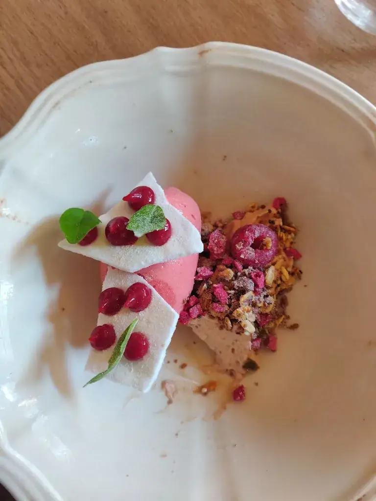 Sander Allert_August_Lennik_reseña