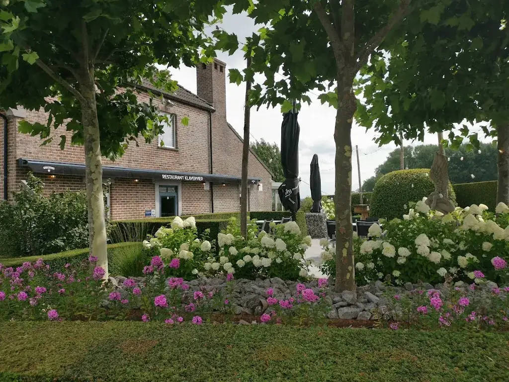 V VH_Klavervier_Lennik_review