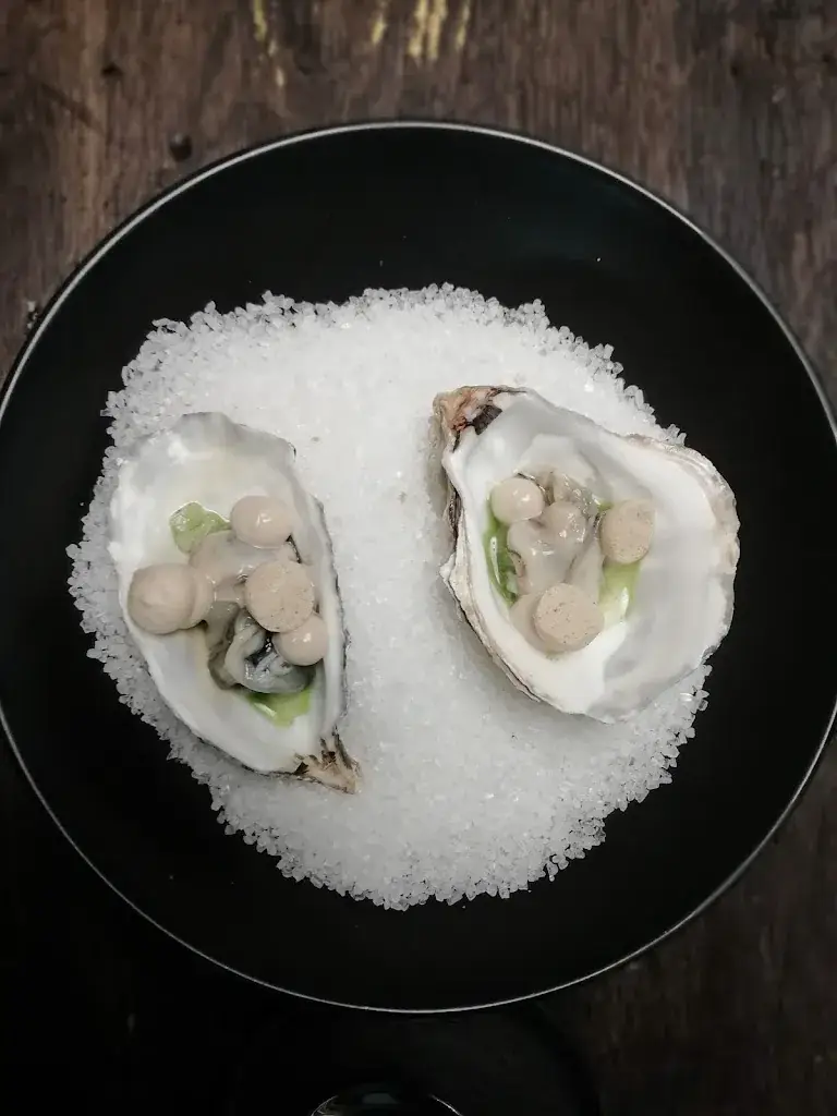 Carmen Victoria Capote Velásquez_Wilford T_Temse_review