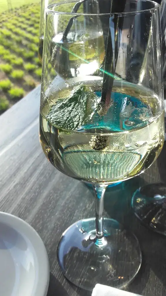 Menu_Bellavista ristorante_Temse_image_5