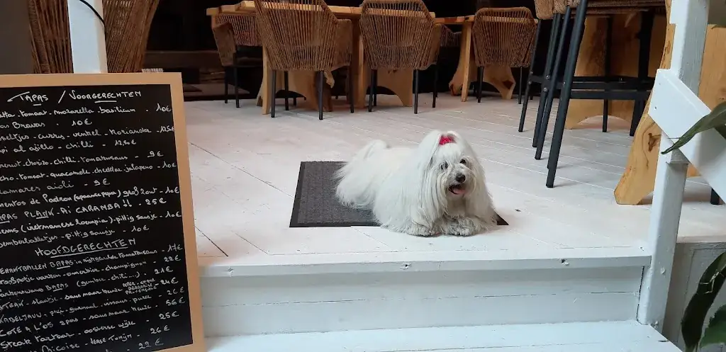 Menu_Bapas - bistro bar_Temse_image_1