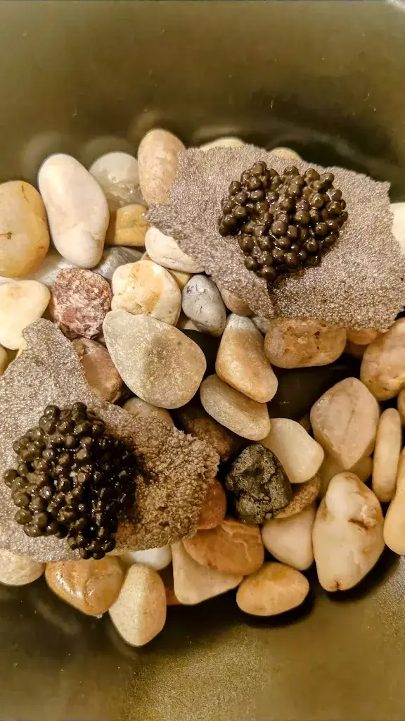 Fabia Roman_Restaurant Eenig_Alken_review