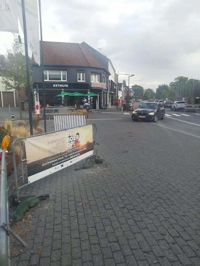 Stijn Appeltans_Bosphorus_Alken_review