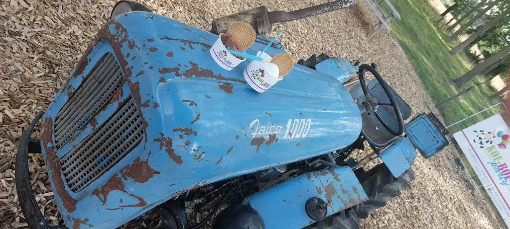 Tessa De Roeck_Koe-Boe-Party (Hoeve-ijs en Kinderboerderij)_Alken_reseña