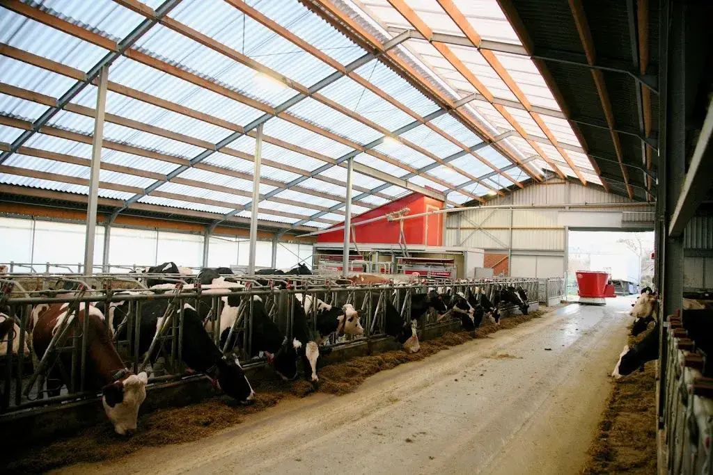 Koe-Boe-Party (Hoeve-ijs en Kinderboerderij)_Alken_slider_image_1