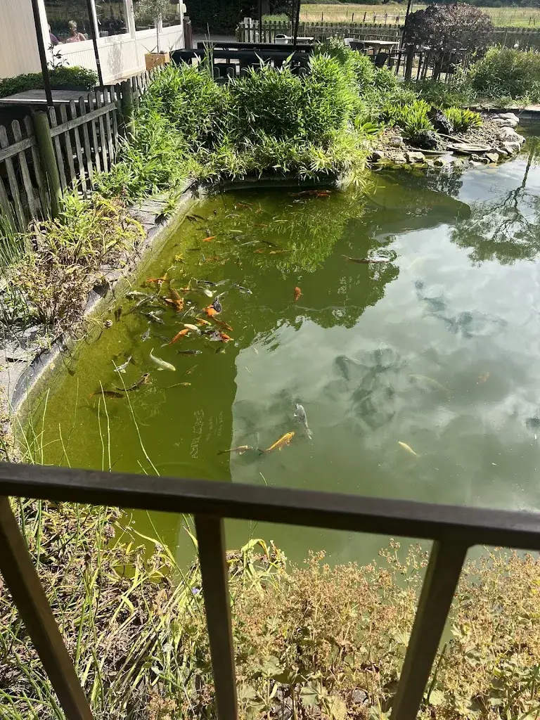 Sezin Eren Ozcan_Kiewithoeve_Tessenderlo-Ham_Bewertung