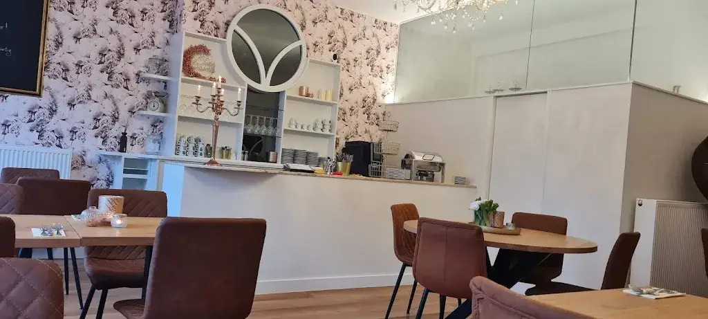 david v_Twin's_Tielt_review