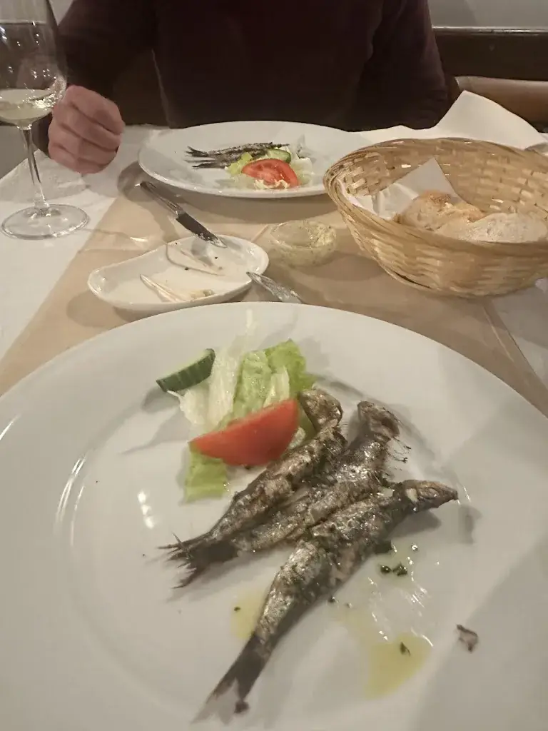 Jean-Claude Assaker_Dalmacija_Sint-Niklaas_review