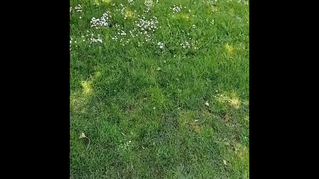 Walburg Castle_Sint-Niklaas_slider_image_2