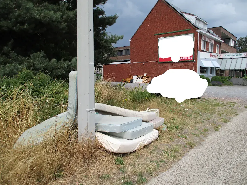 D D_Chau's Garden_Vosselaar_review