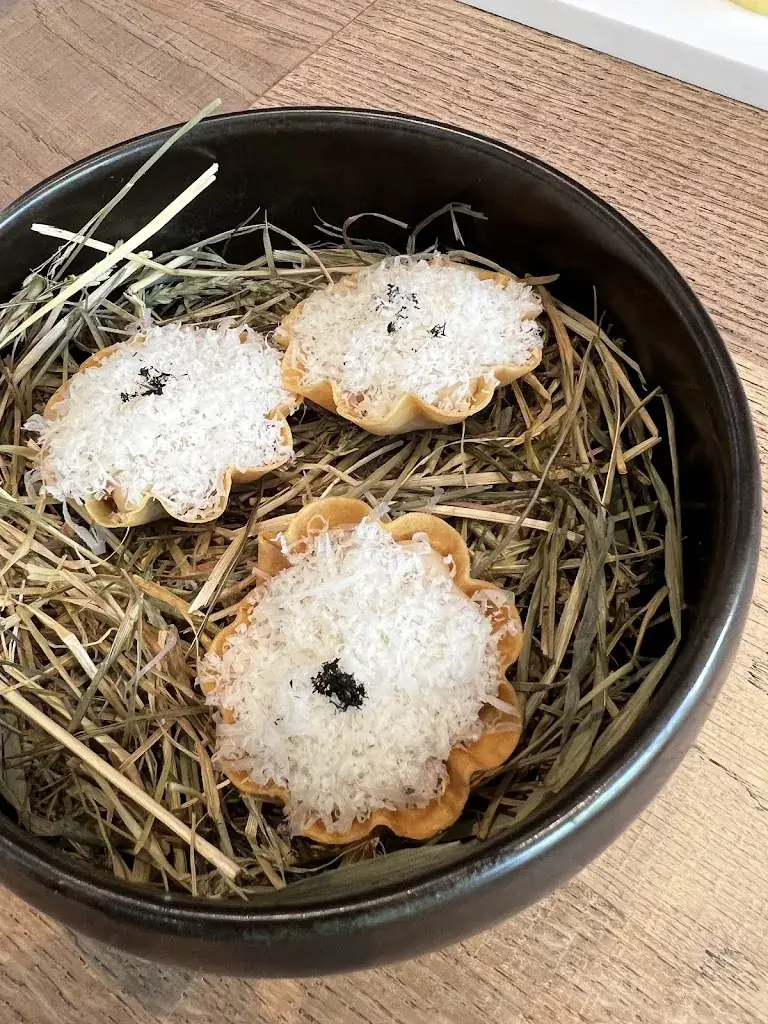 Gilles_Magis_Tongeren-Borgloon_review