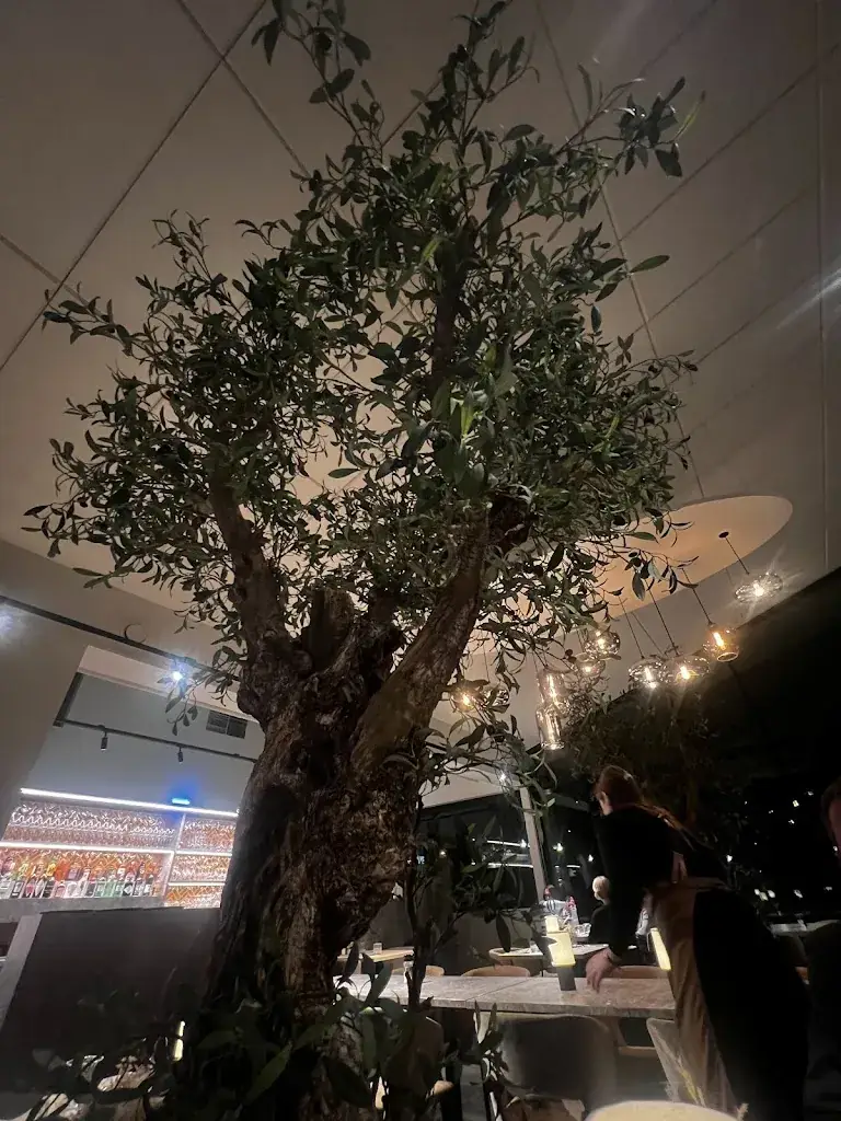 Joannie Elopre_Boothuis_Waregem_review