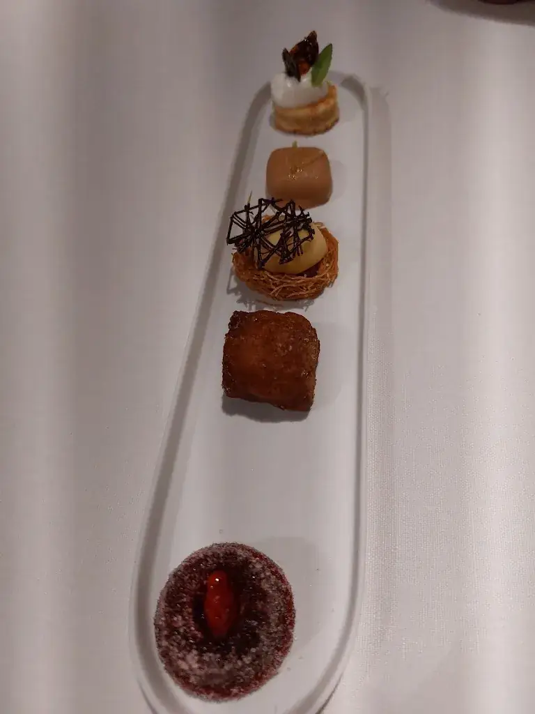 Dries Roekaerts_sense_Waasmunster_review