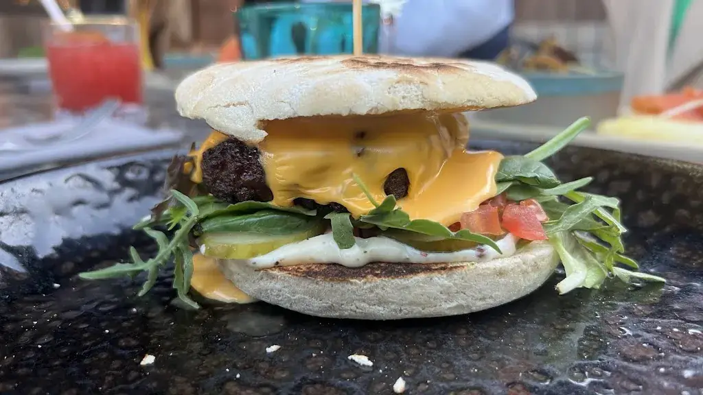 Tyler Soares_MONA Waasmunster_Waasmunster_reseña