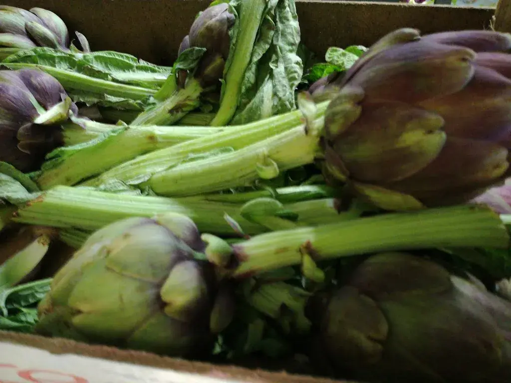 Menu_De Refugie_Tienen_image_9