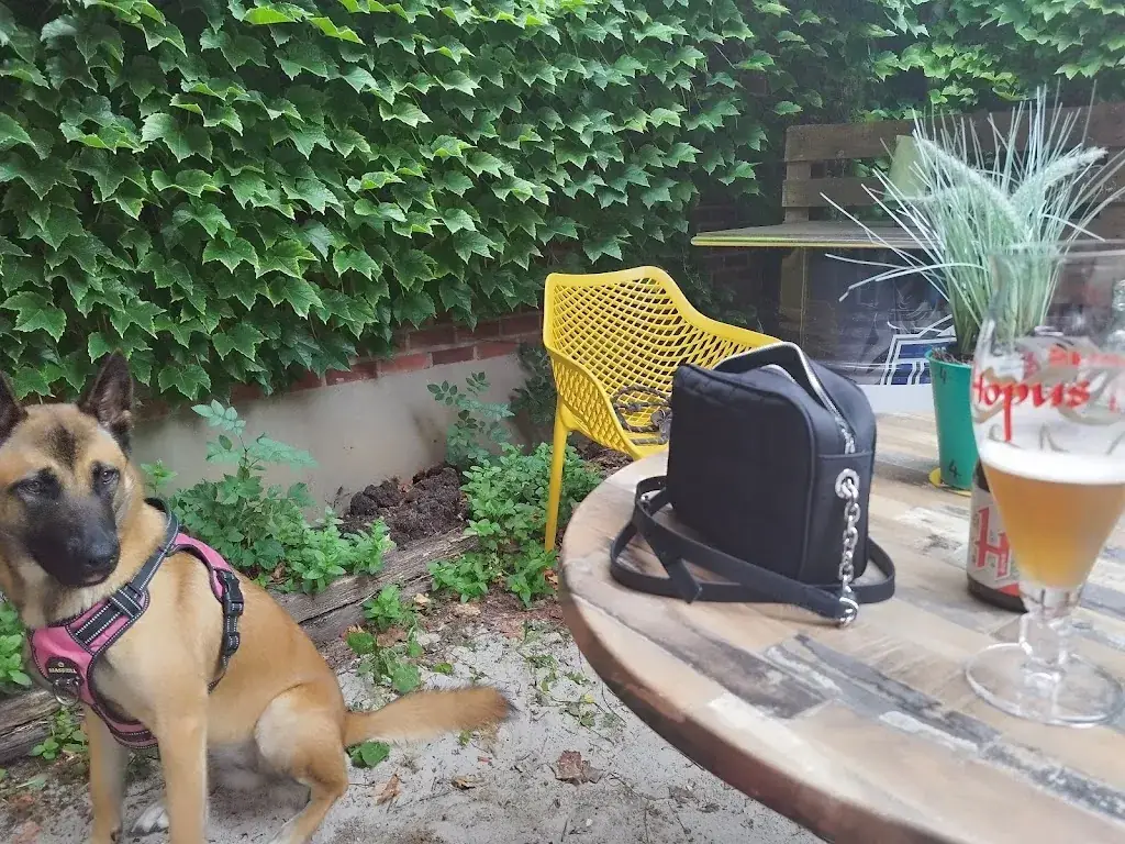 Elise P_Incognito_Tienen_reseña