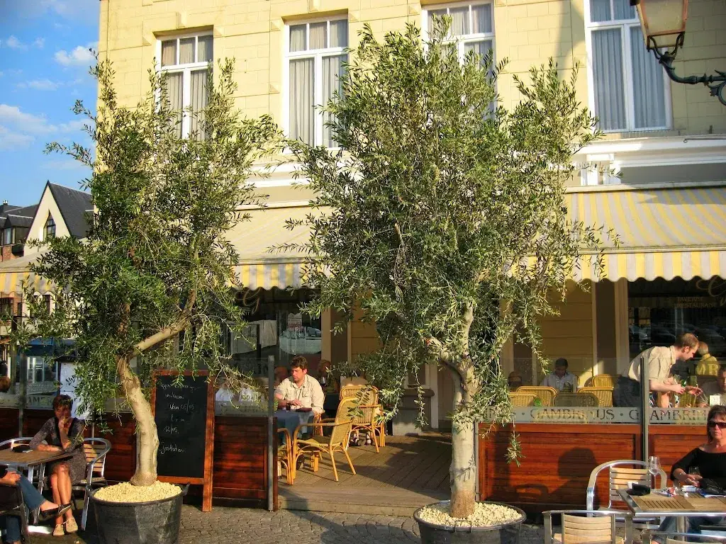 Gambrinus - 't land van belofte_Tienen_slider_image_3