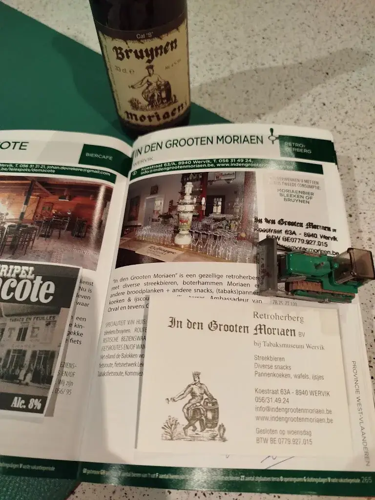 Hugo Desopper_In den Grooten Moriaen_Wervik_review