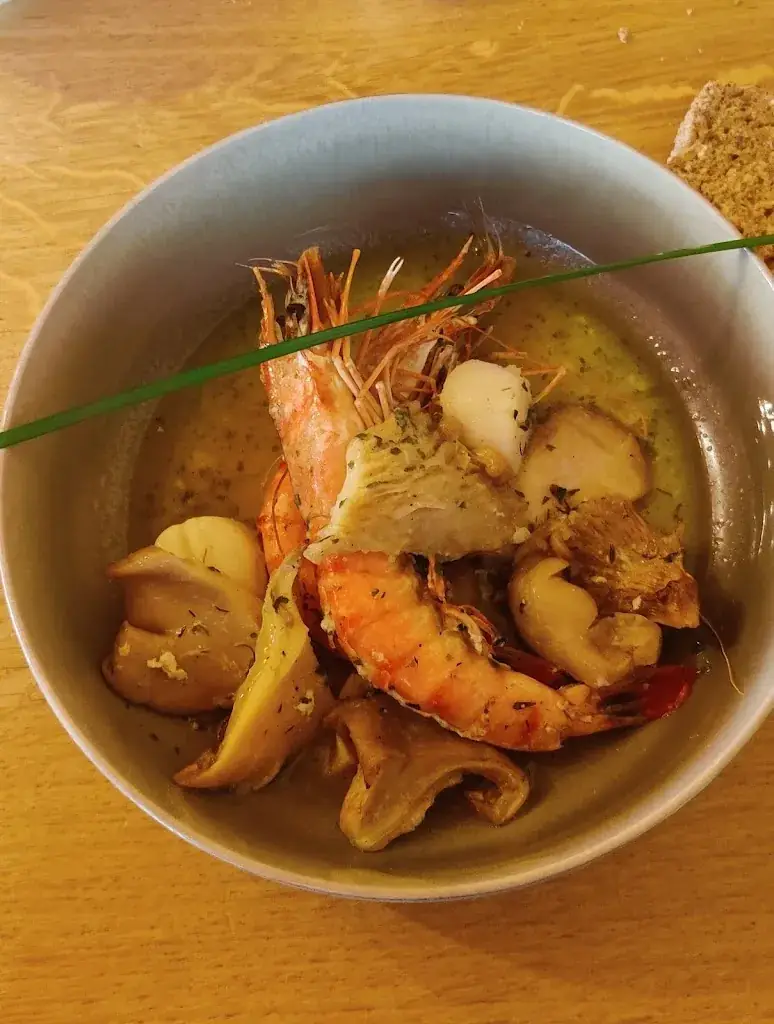 Tamara_Den Vlaschaert_Wetteren_reseña