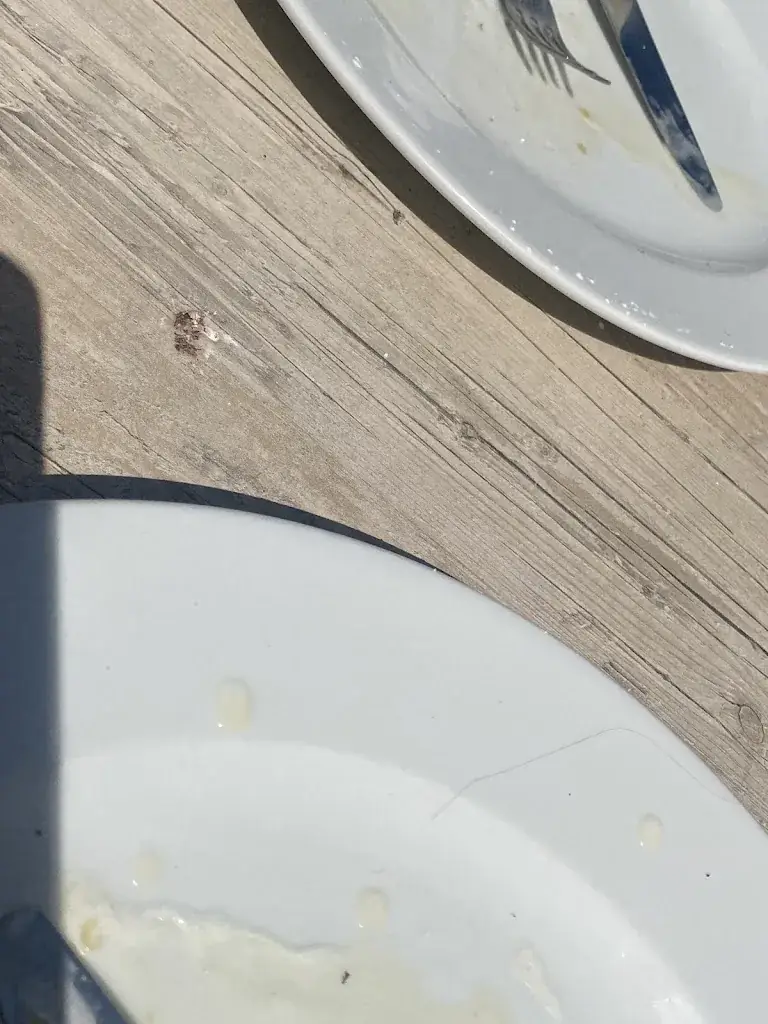 Melanie Gevaert_De Meander_Wielsbeke_Bewertung