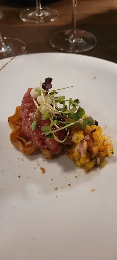 Didier MAES_Sapor_Vilvoorde_review