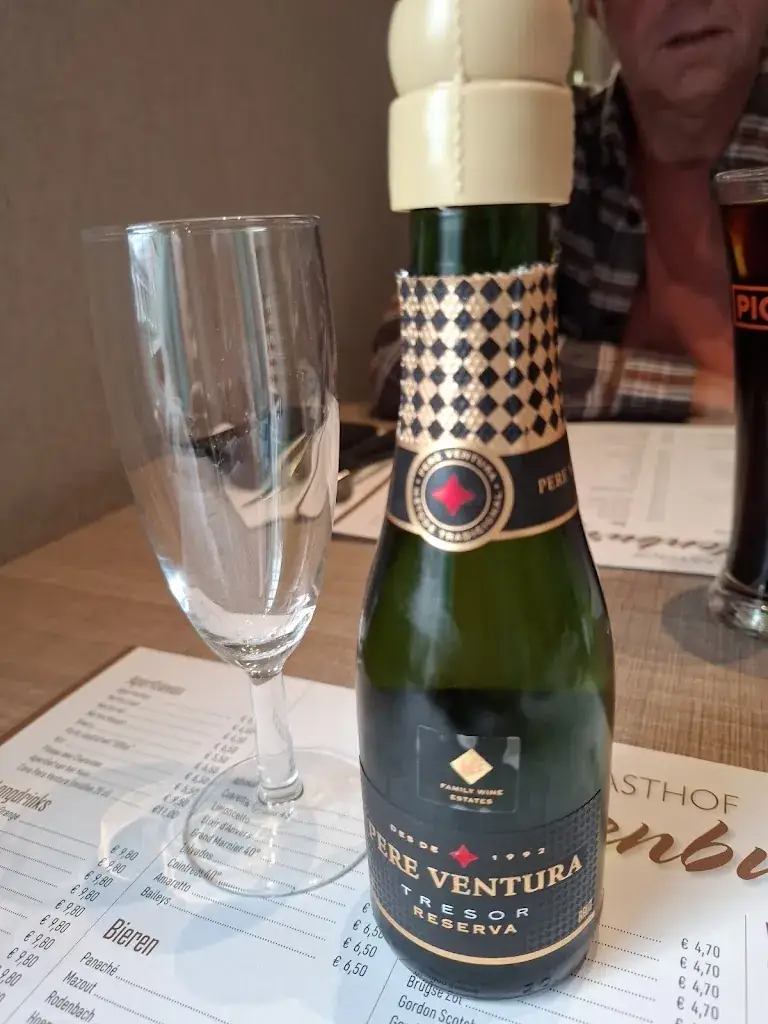 nancy slegtinck_Gasthof Wildenburg_Wingene_avis