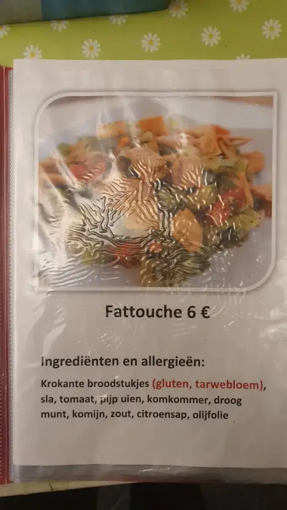 Menu_Vege Corner_Willebroek_image_1