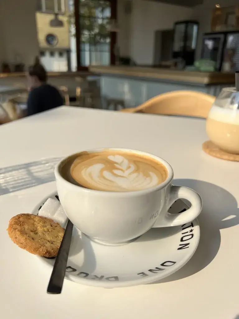 Gianni Dehertogh_Coco Canal_Willebroek_review