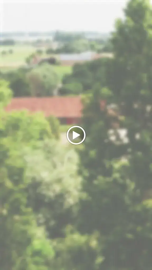 Restaurant BAR BULOT ZEDELGEM_Zedelgem_slider_image_2