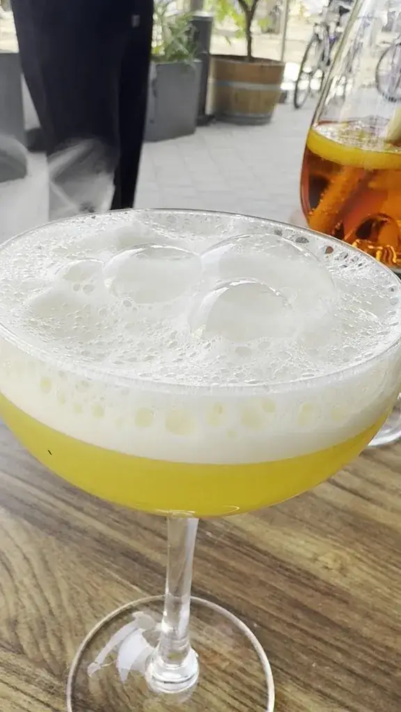 Bruno Hulders_Oszy_Zele_review