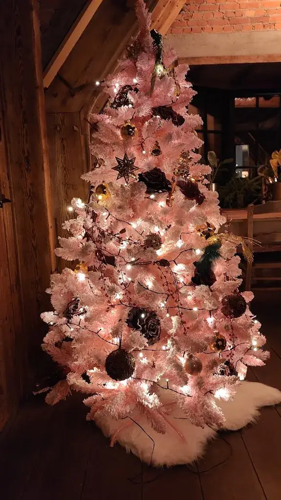 Thuvaragesh Nagarajan_Café Caban_Zele_review