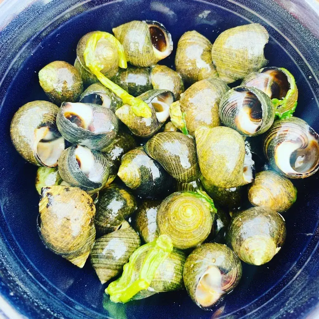 Sandra B_ONA by ‘t Werftje_Brugge_review