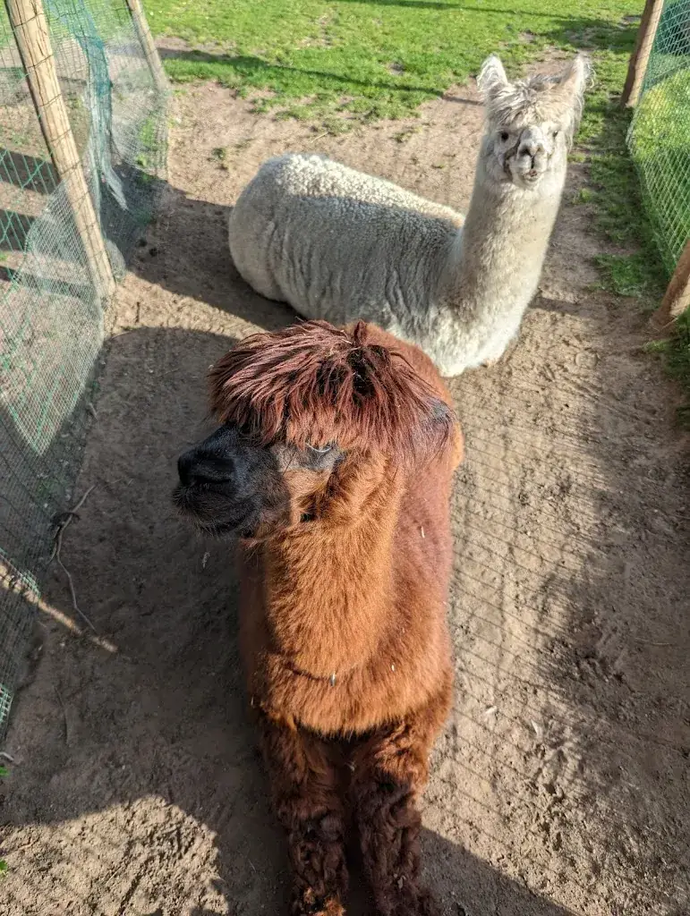 Thomas Madsen (ThomasBergen)_Jardin Beveren_Beveren-Kruibeke-Zwijndrecht_Bewertung