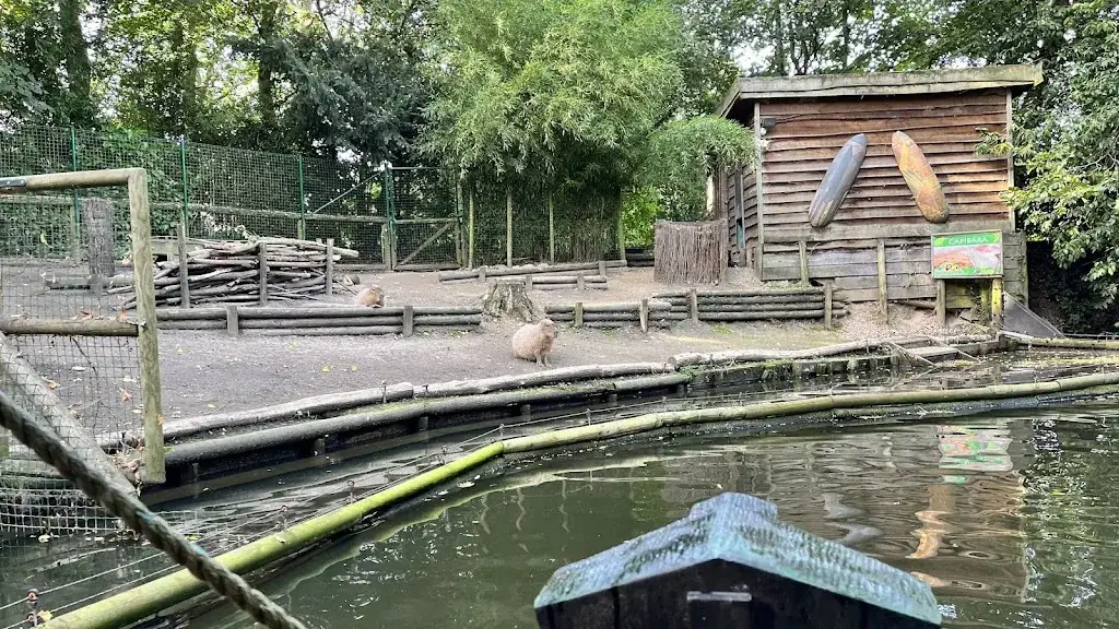 BBQ Grill_Zonnebeke_slider_image_3