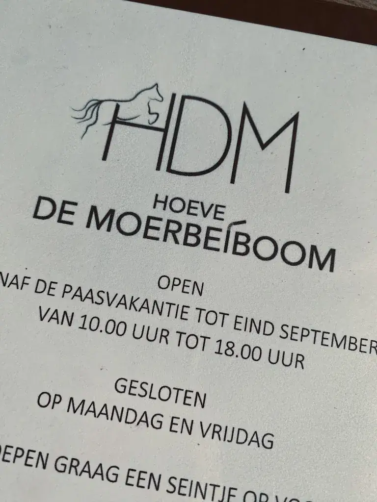 ANKIE DIERICK_Hoeve de Moerbeiboom_Zuienkerke_review