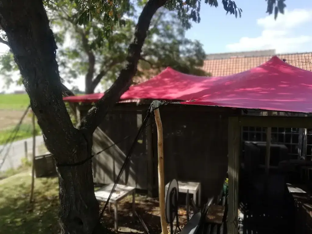 Eston sithole_Restaurant De Geit_Zwevegem_review