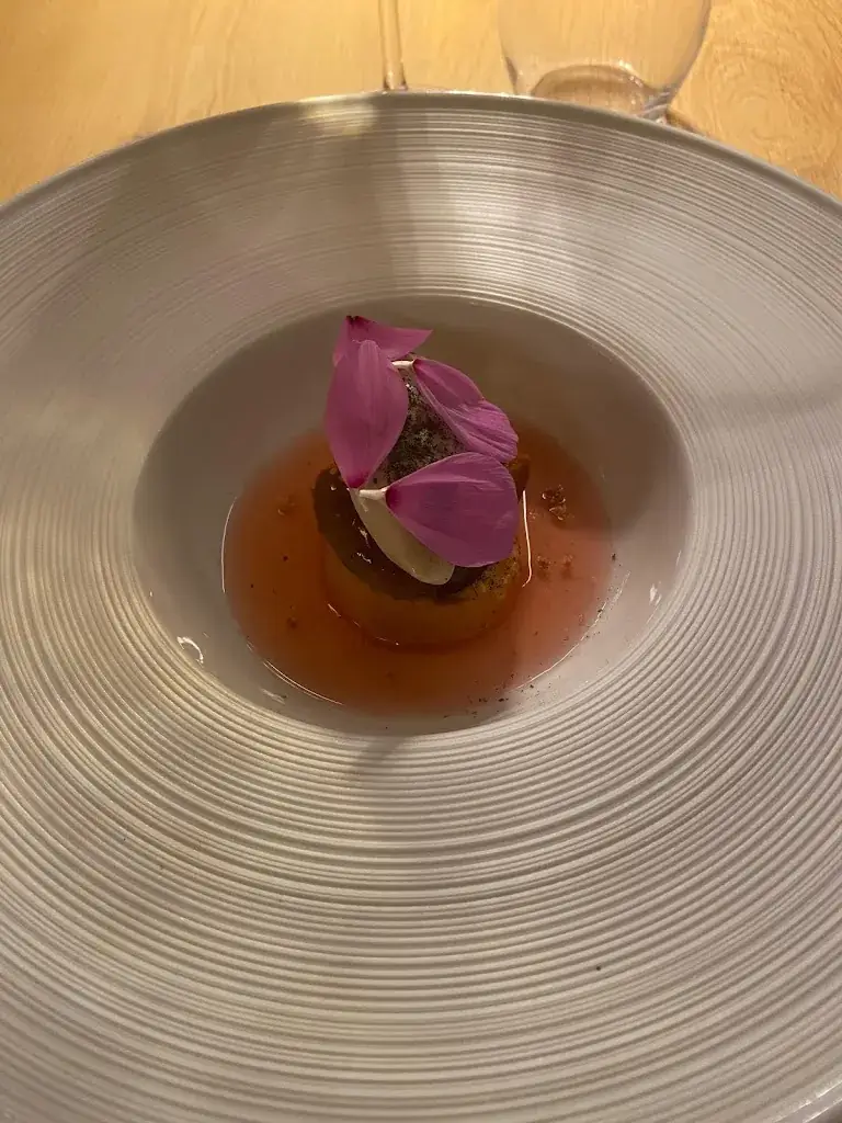 Ariane Legrand_Sophie et Nicolas_Hamoir_review