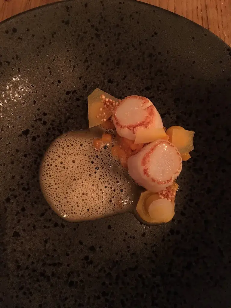 Floor van Rijn_Sophie et Nicolas_Hamoir_review