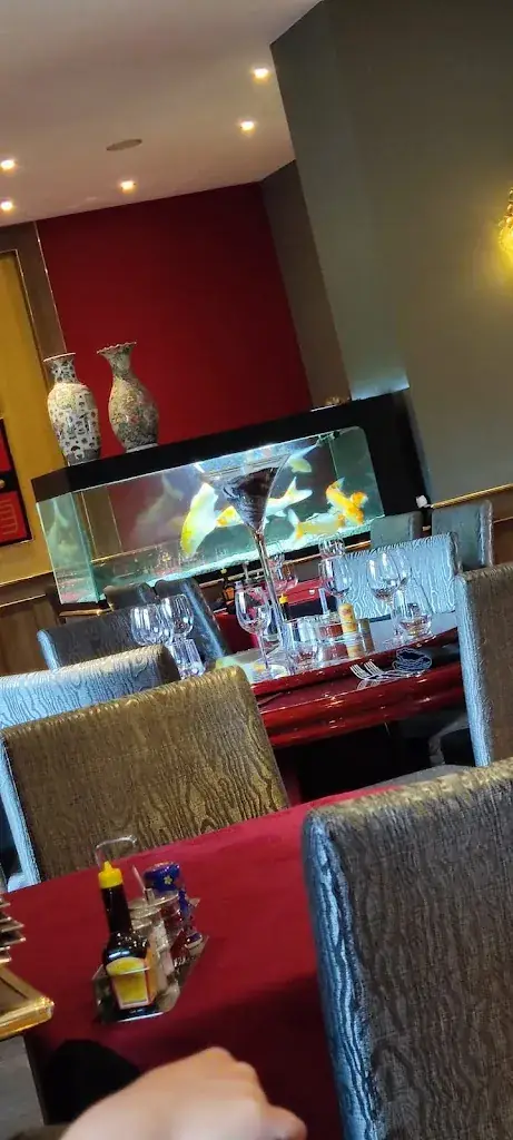 Jonathan Malherbe_Le Palais de Shu Hong_Andenne_avis