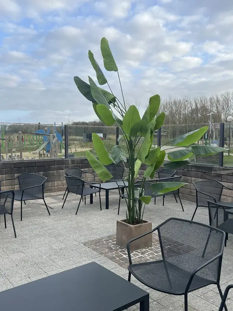 Lyno Ds_Brasserie Chérie_Berlare_review