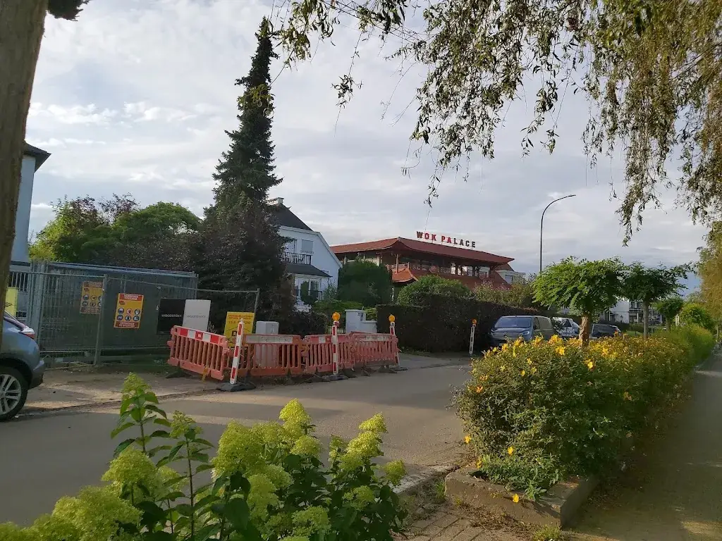 Fadhl MF Mansoor Alban_Wok Palace_Berlare_Bewertung