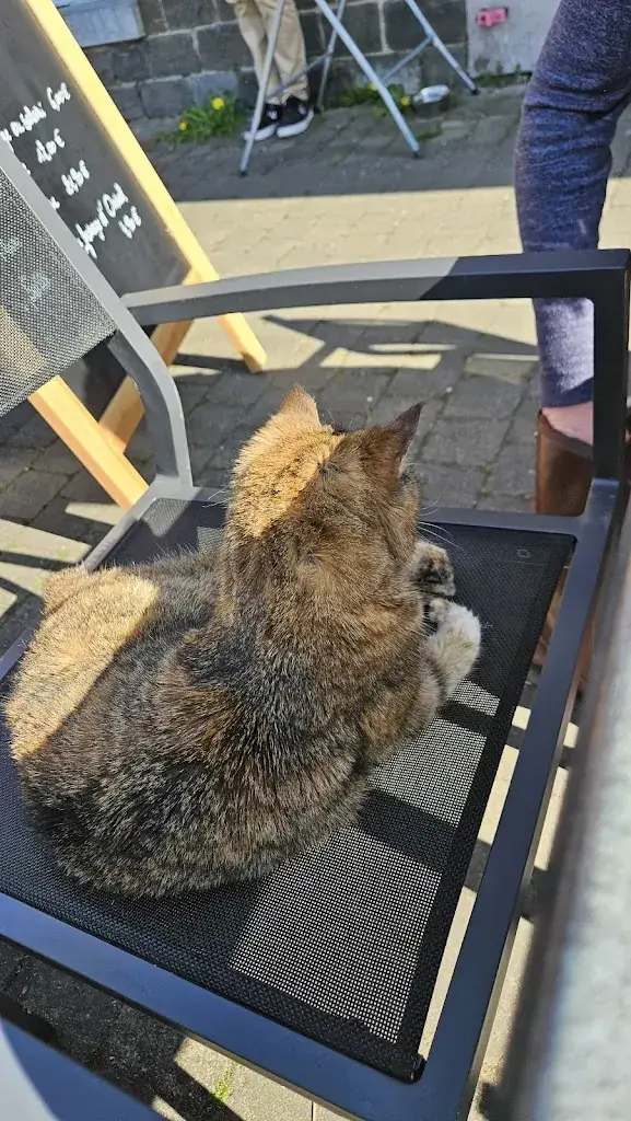 Herman Korenblik_Le Grand Café_Anhée_Bewertung