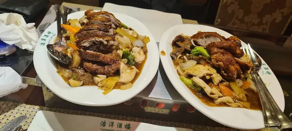 Cindy Stpn_Hao Yang_Antoing_avis