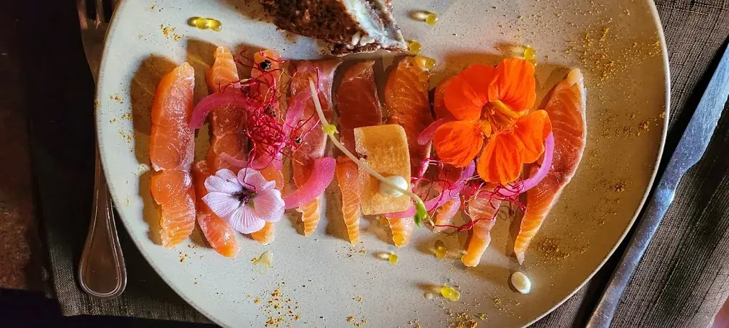 F A_L'Arche de Noé_Tournai_avis