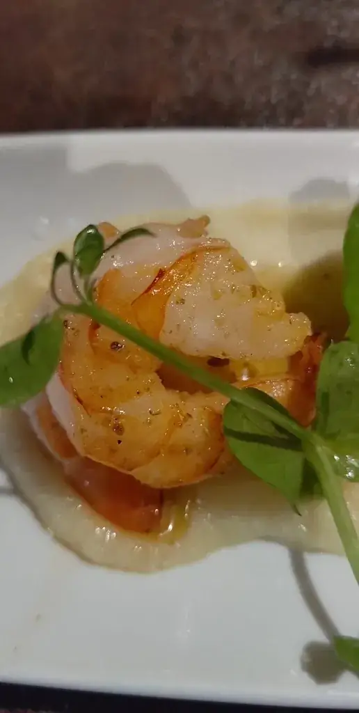 L'Arche de Noé_Tournai_slider_image_2