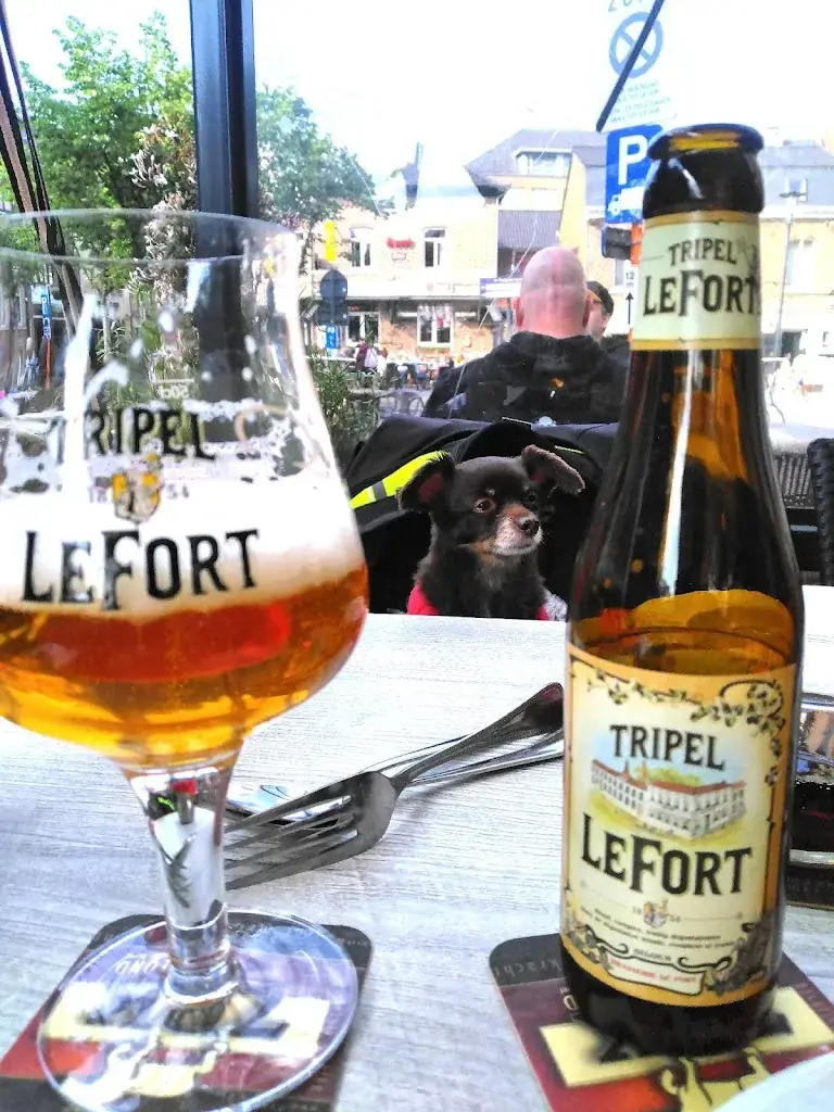 frank thoelen_De Casteleyn Bilzen_Bilzen-Hoeselt_Bewertung