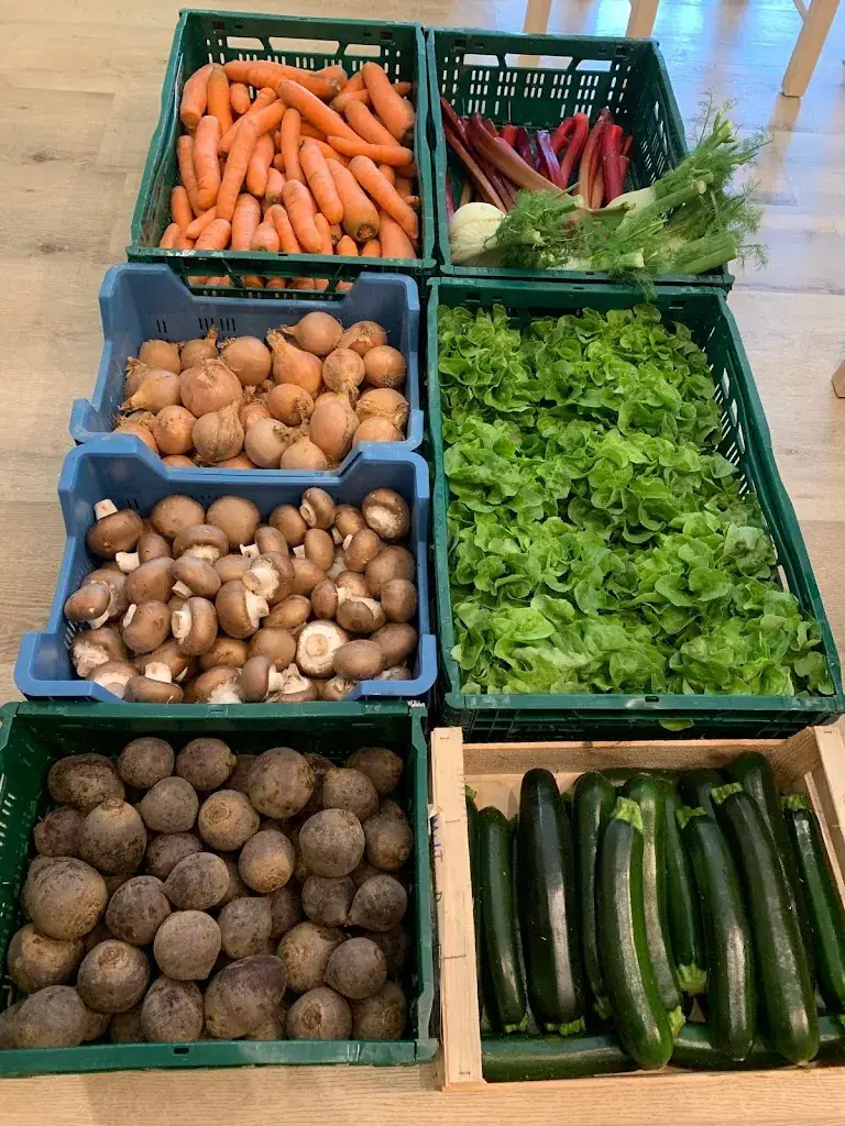 Menü_L'Arbre Vert Sandwicherie_Beauvechain_Bild_7